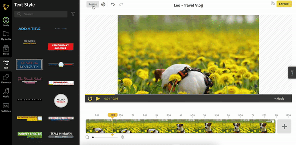 Create videos in different video formats and aspect ratios - 9:16 vertical, 1:1 square letterbox, and more.
