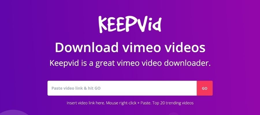 free vimeo video downloader